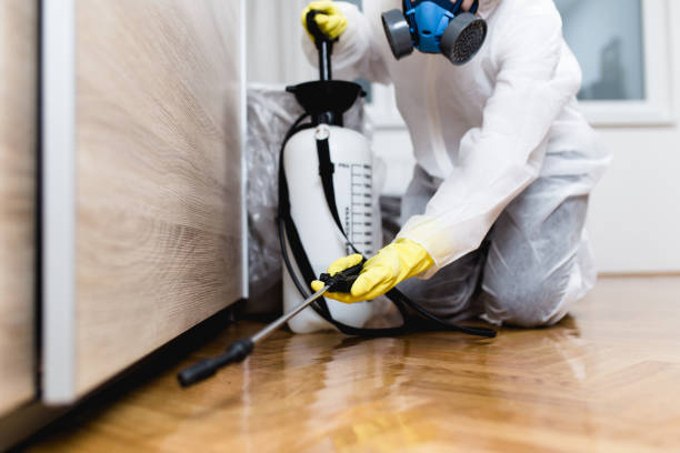 Best Residential Pest Control  in Mcnary, AZ