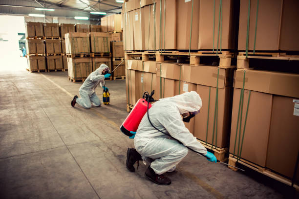 Best Ant Control Services  in Mcnary, AZ
