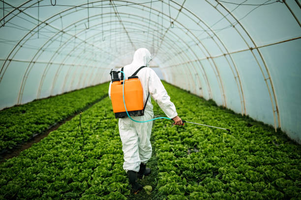 Best Best Pest Control Companies  in Mcnary, AZ