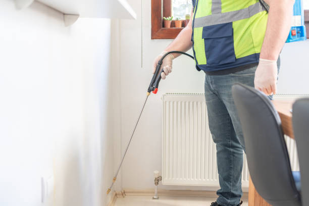 Best Local Pest Control Services  in Mcnary, AZ