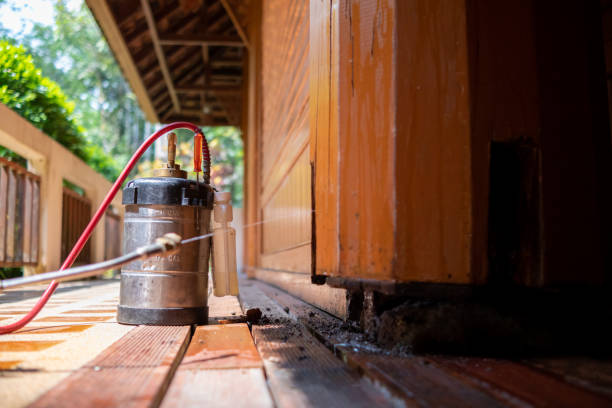 Best Insect Control  in Mcnary, AZ