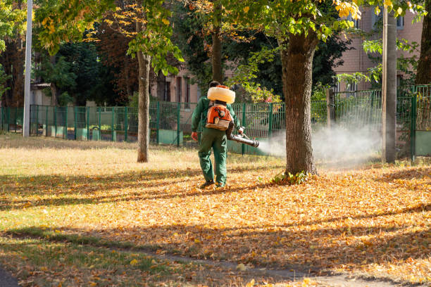 Best Wildlife Control Services  in Mcnary, AZ
