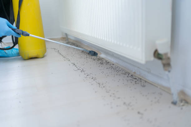 Best Best Pest Control Companies  in Mcnary, AZ